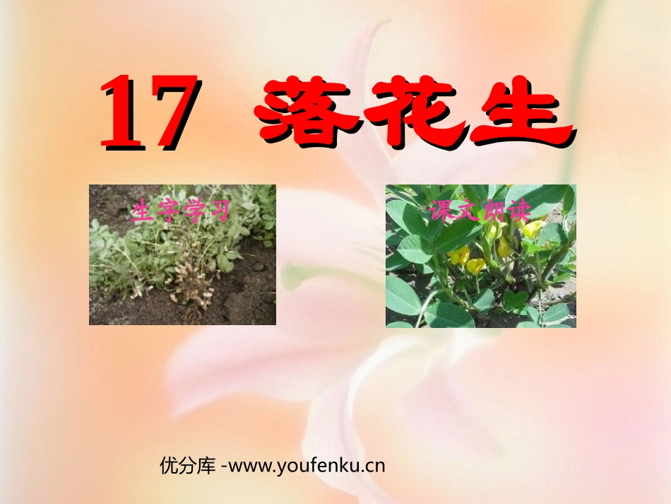 《落花生》PPT课件[部编版五年级语文上册]_第1页