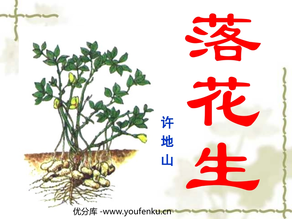 《落花生》PPT课件[部编版五年级语文上册]_第1页