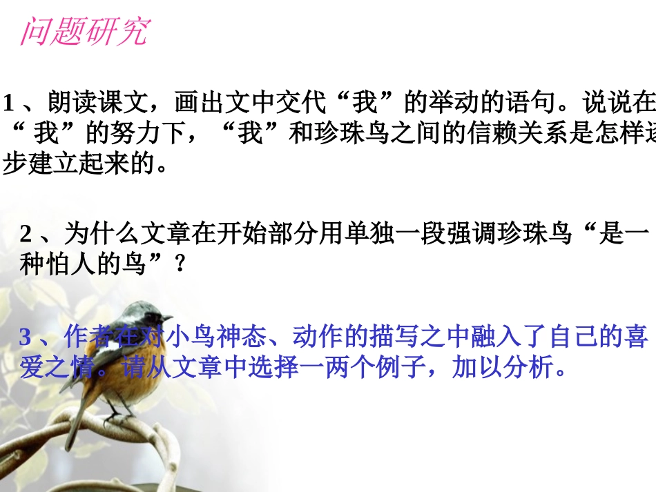 《珍珠鸟》PPT课件[部编版五年级语文上册]_第3页