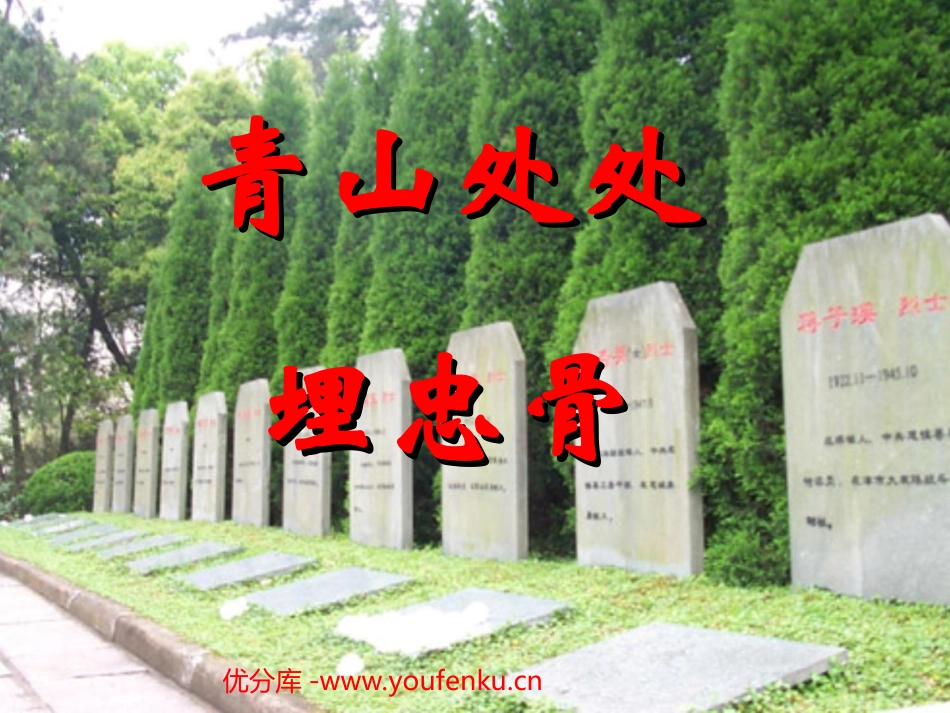《青山处处埋忠骨》PPT课件[部编版五年级语文上册]_第1页