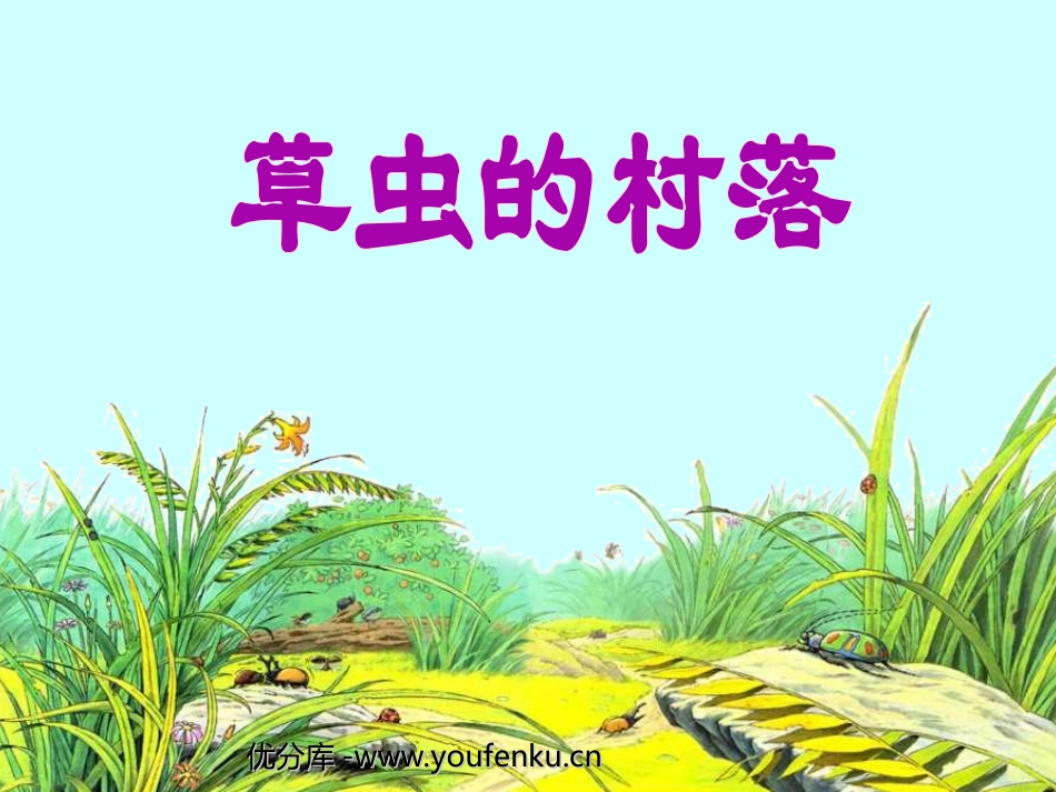 《草虫的村落》PPT课件[部编版六年级语文上册]_第1页