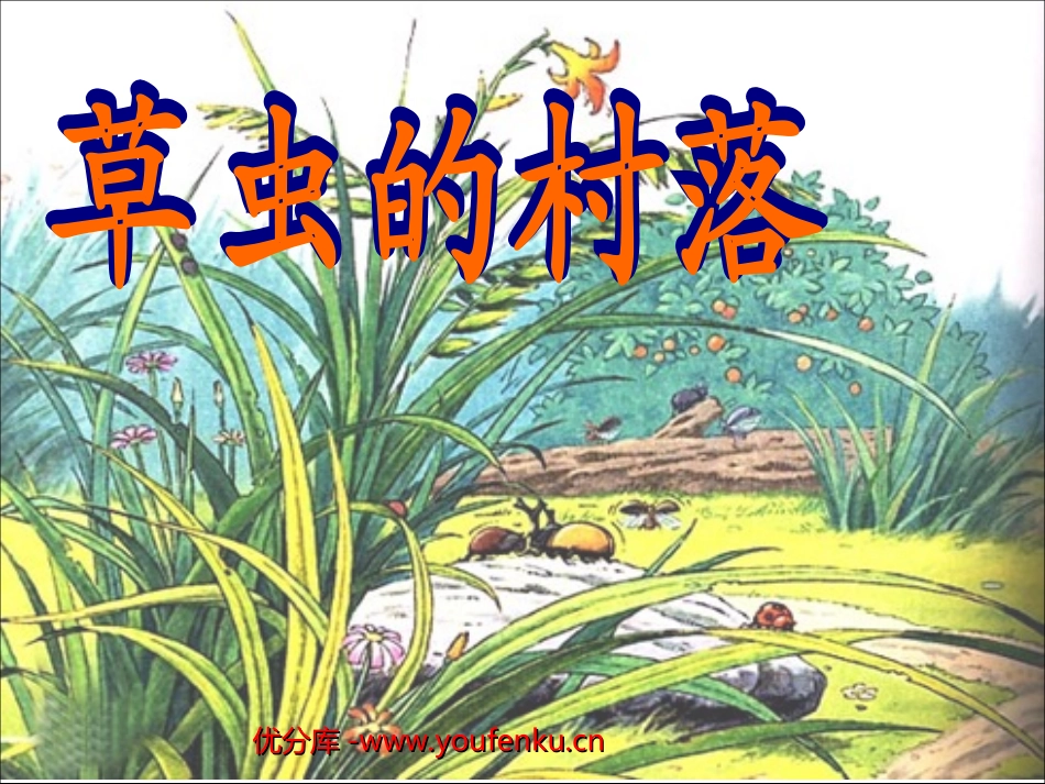 《草虫的村落》PPT课件[部编版六年级语文上册]_第1页