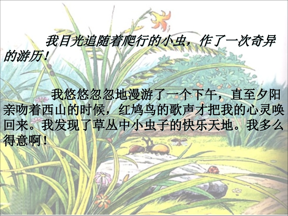 《草虫的村落》PPT课件[部编版六年级语文上册]_第2页