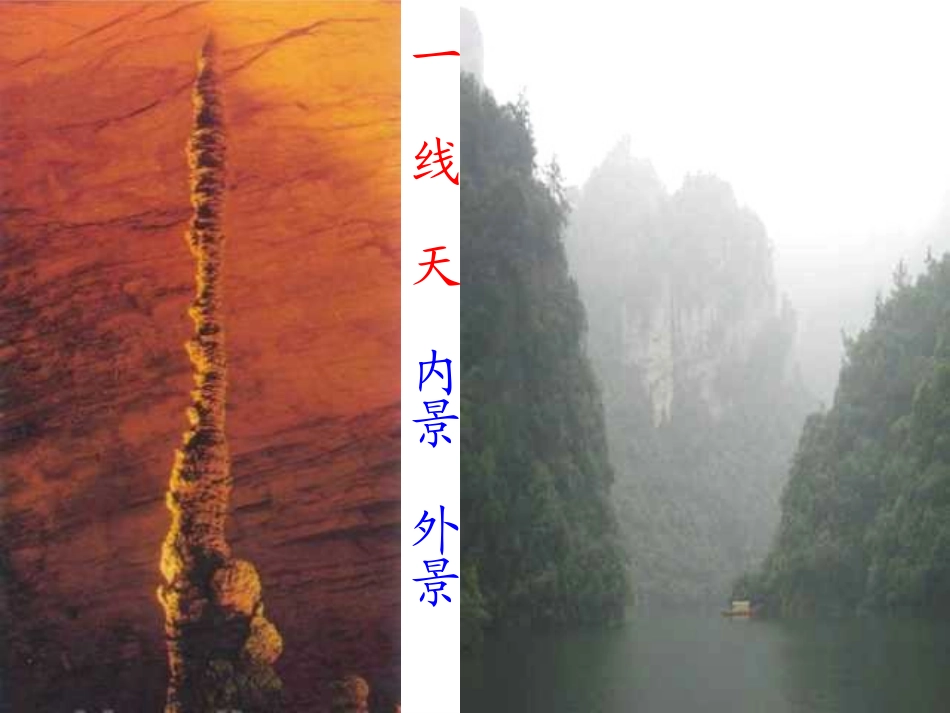 《索溪峪的“野”》PPT课件[部编版六年级语文上册]_第3页