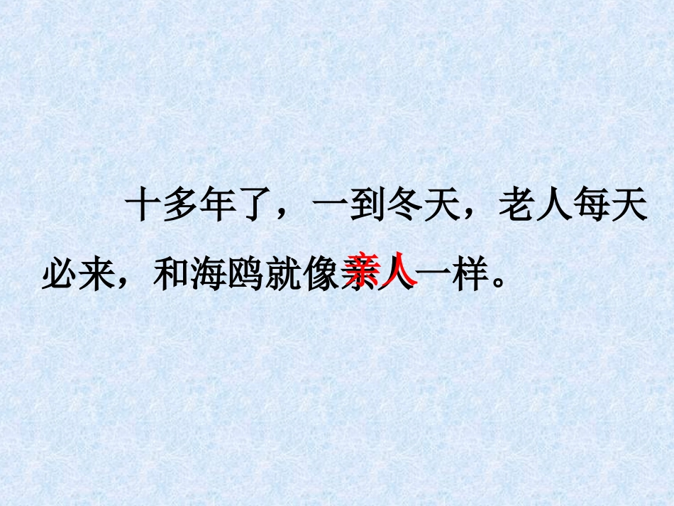 《老人与海鸥》PPT课件[部编版六年级语文上册]_第3页