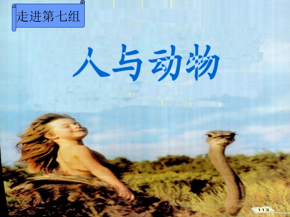 《老人与海鸥》PPT课件[部编版六年级语文上册]_第1页