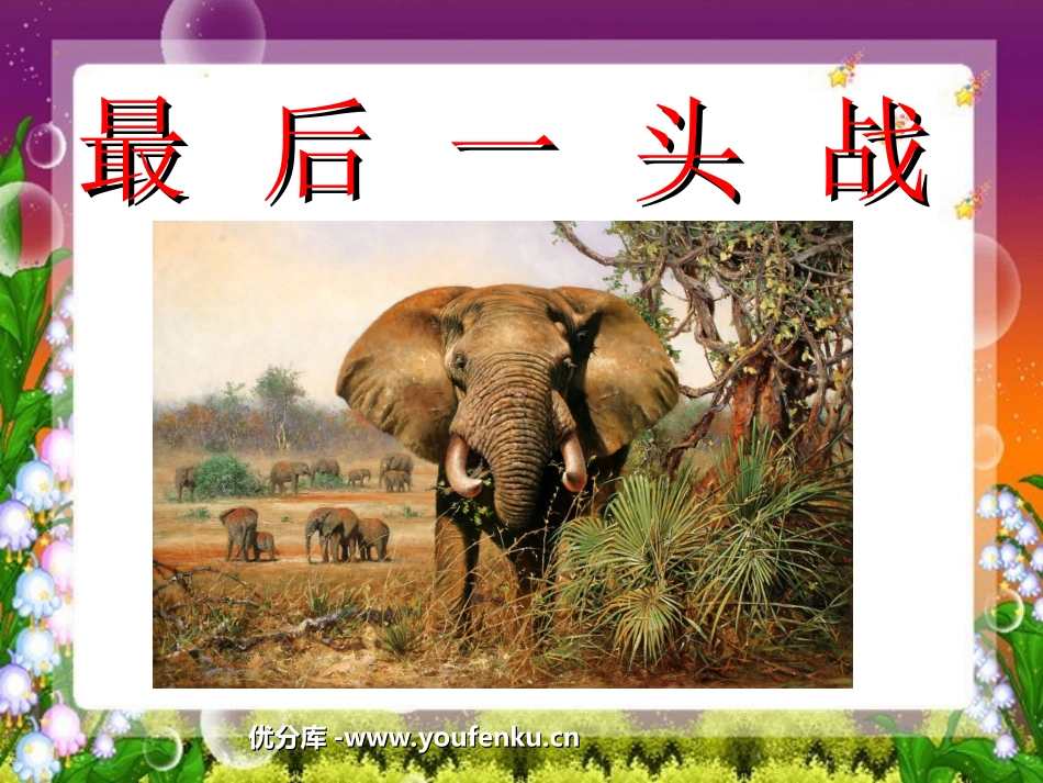 《最后一头战象》PPT课件[部编版六年级语文上册]_第1页