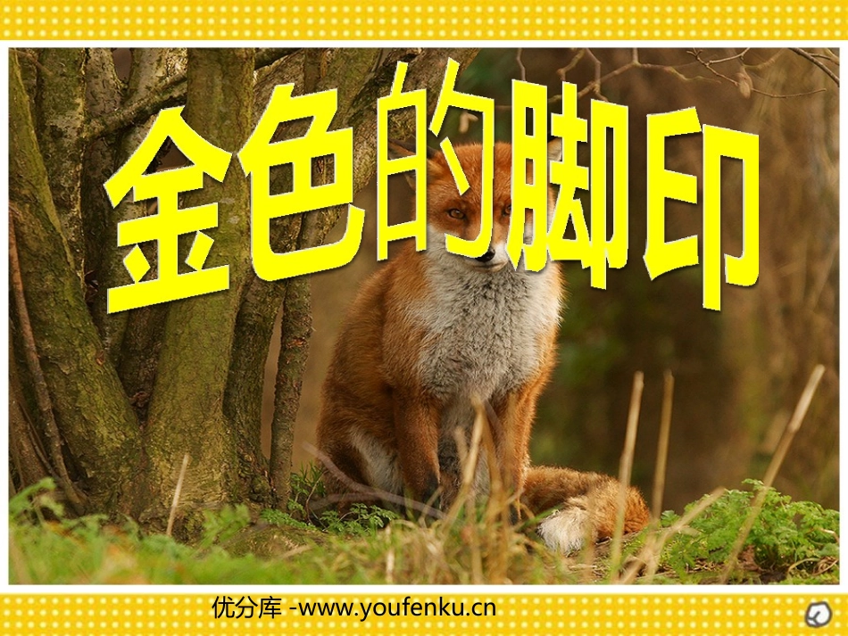 《金色的脚印》PPT课件[部编版六年级语文上册]_第1页