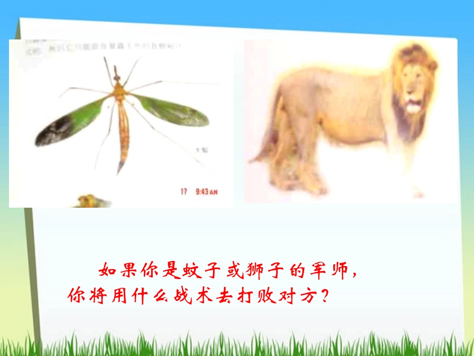 《蚊子与狮子》PPT课件[部编版七年级语文上册]_第3页