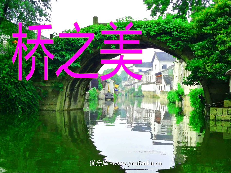 《桥之美》PPT课件[部编版八年级语文上册]_第1页