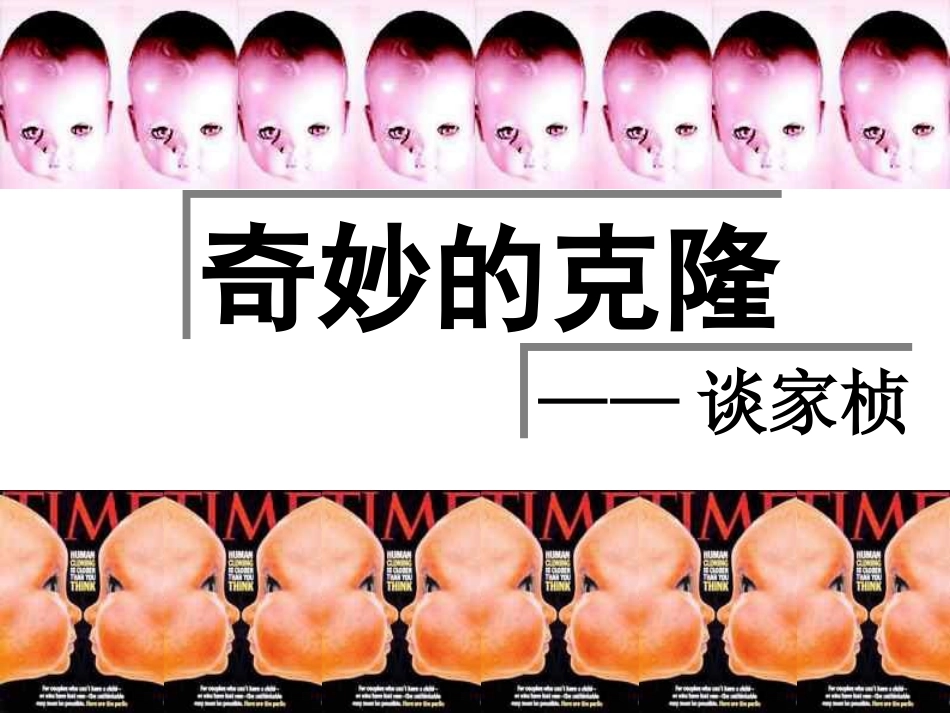 《奇妙的克隆》PPT课件[部编版八年级语文上册]_第1页