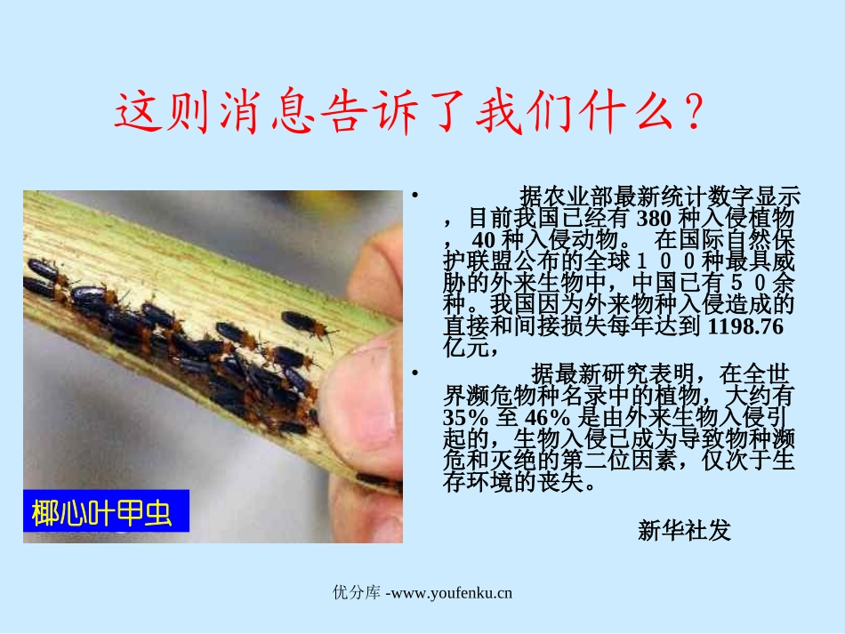 《生物入侵者》PPT课件[部编版八年级语文上册]_第2页