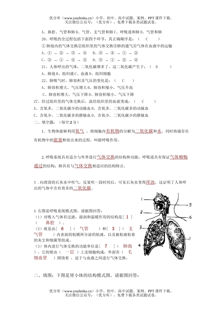 初中七年级生物上学期8、9章精讲通练试卷_第3页