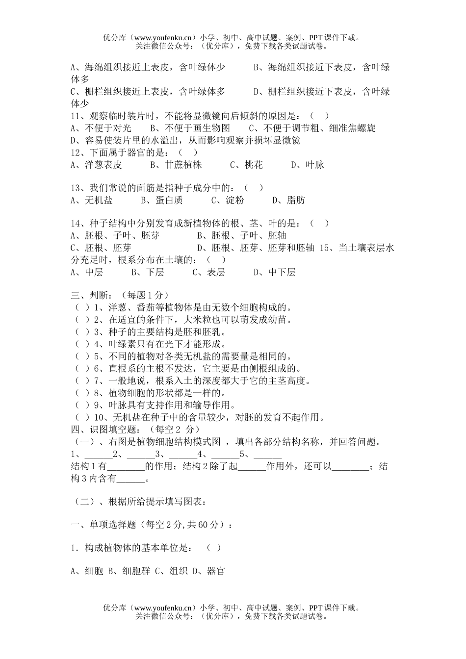 初中七年级生物上学期期中试卷_第2页
