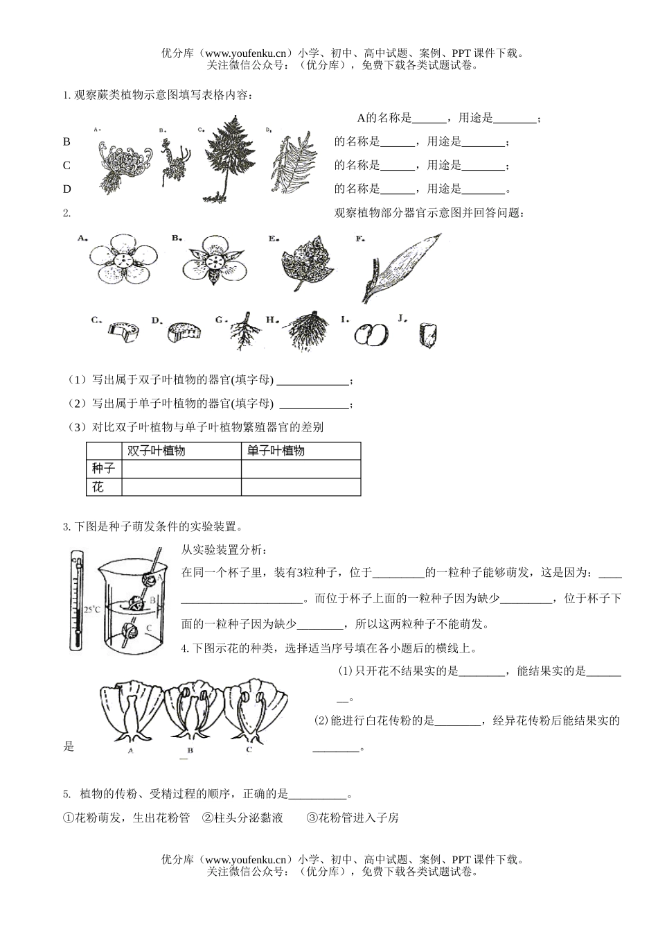 初中七年级生物上册第三单元A试卷_第2页