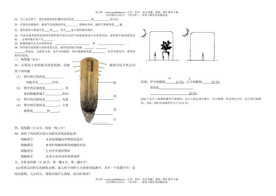 初中七年级生物第一学期期末试卷_第2页
