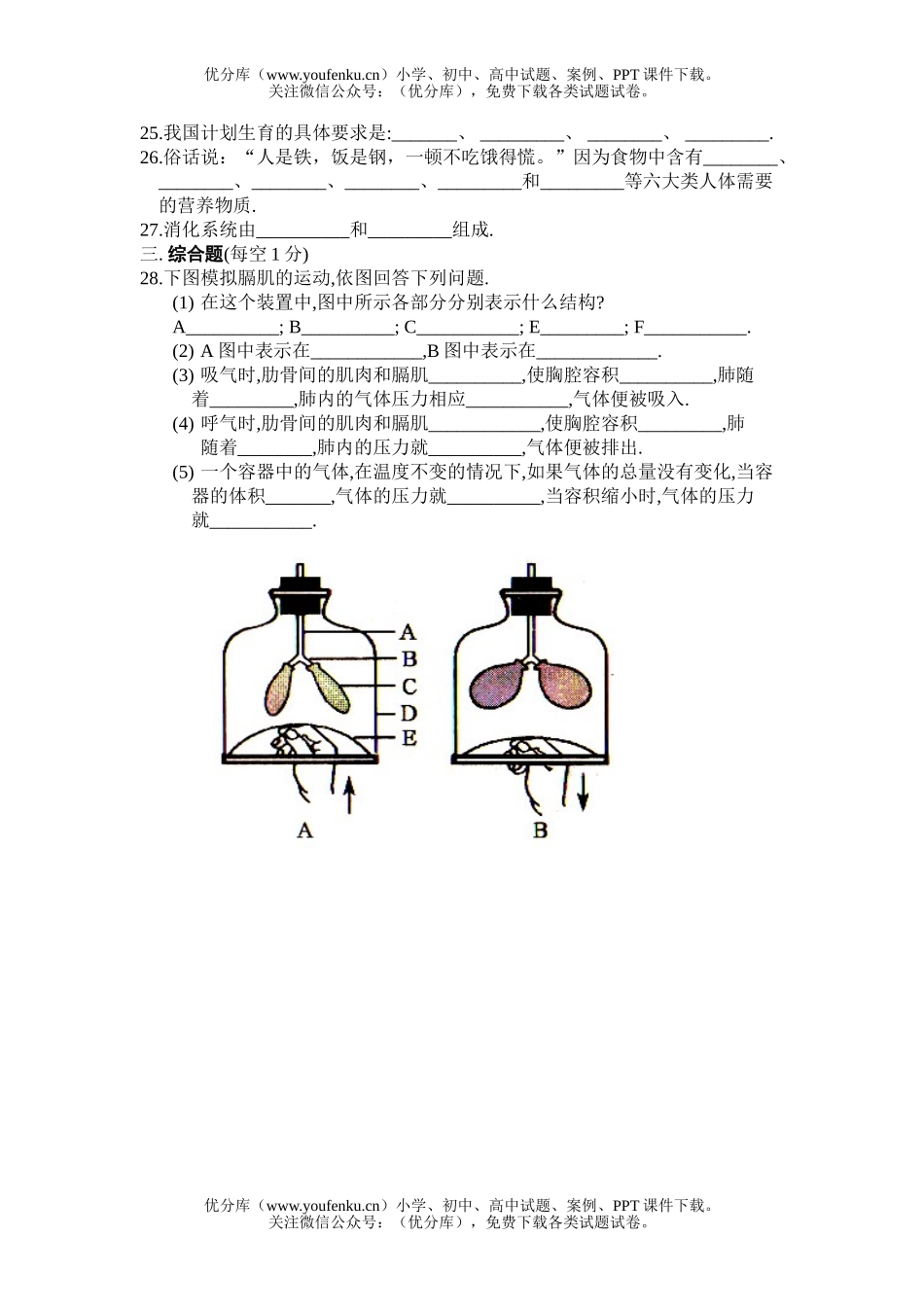 初中七年级生物下学期期中测试卷_第3页
