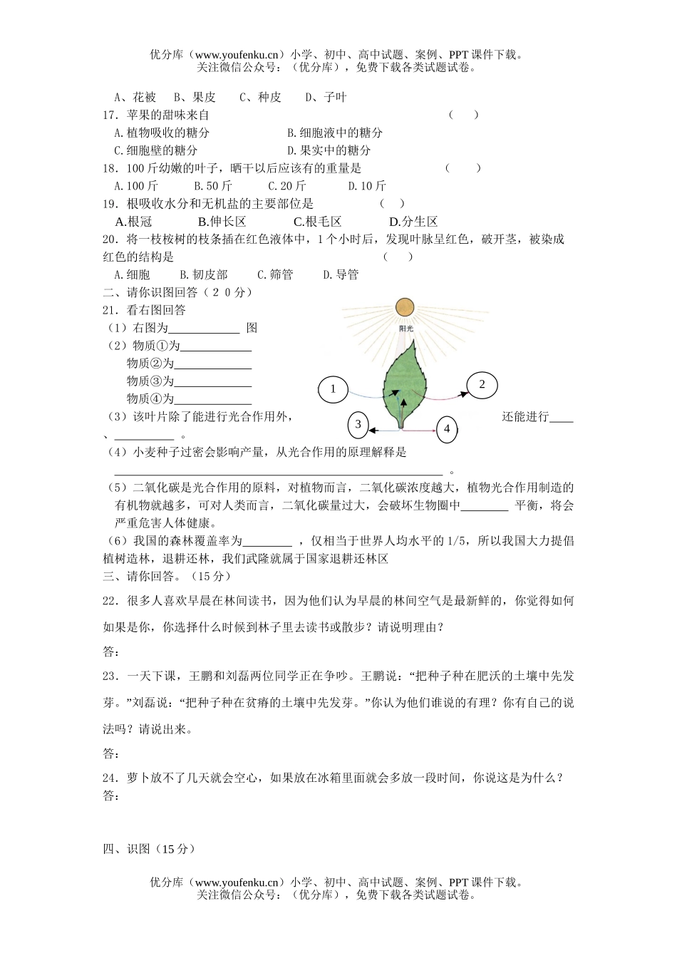初中七年级生物上学期期末试卷_第2页