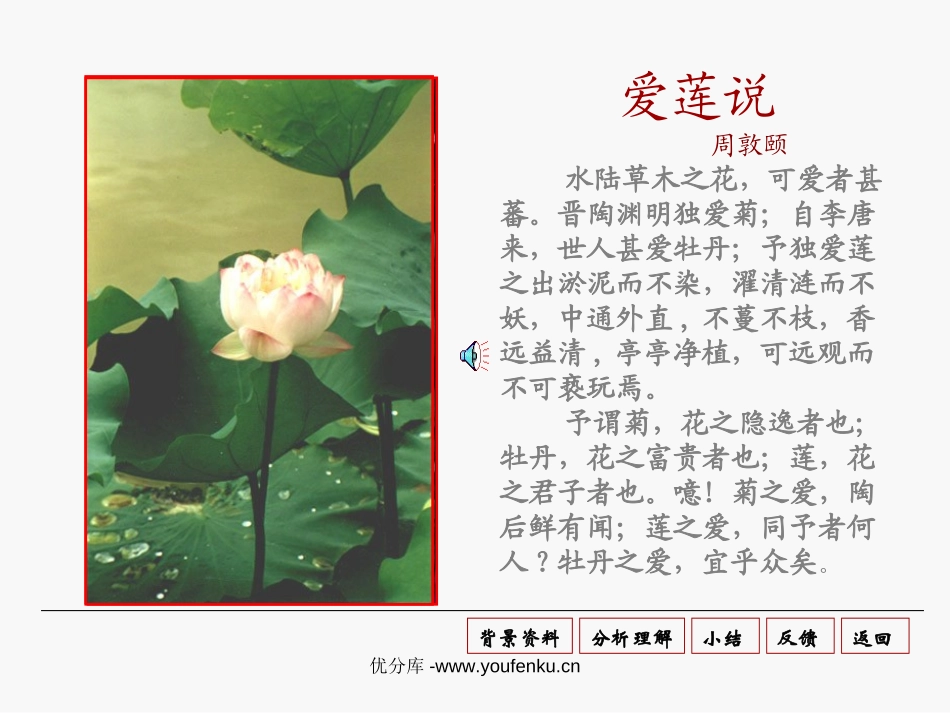 《爱莲说》PPT课件[部编版八年级语文上册]_第3页