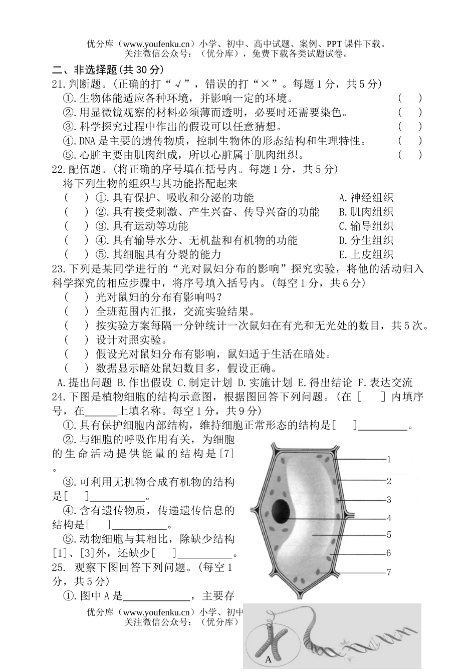 初中七年级生物上学期测(第一、二单元)试卷_第3页