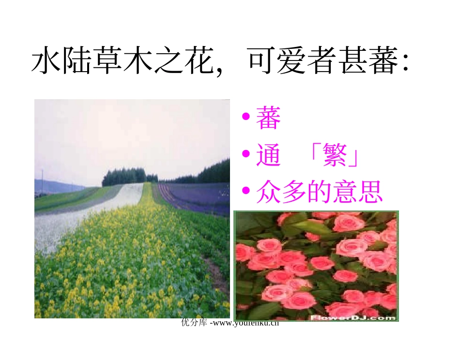 《爱莲说》PPT课件[部编版八年级语文上册]_第2页