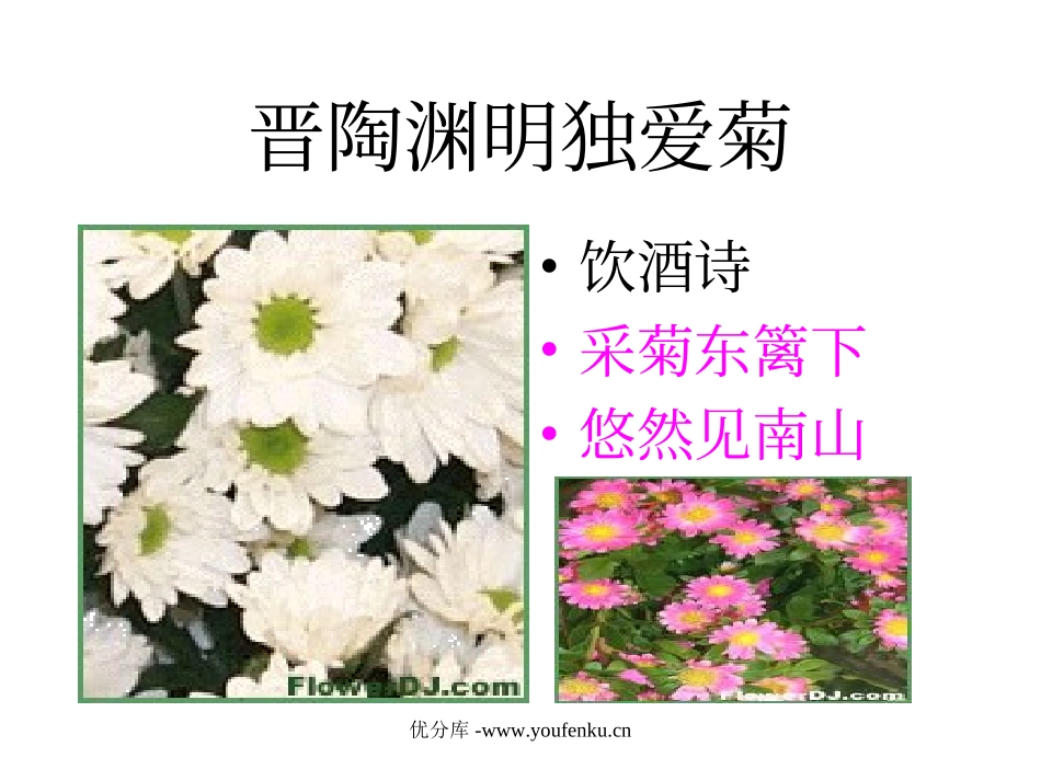 《爱莲说》PPT课件[部编版八年级语文上册]_第3页