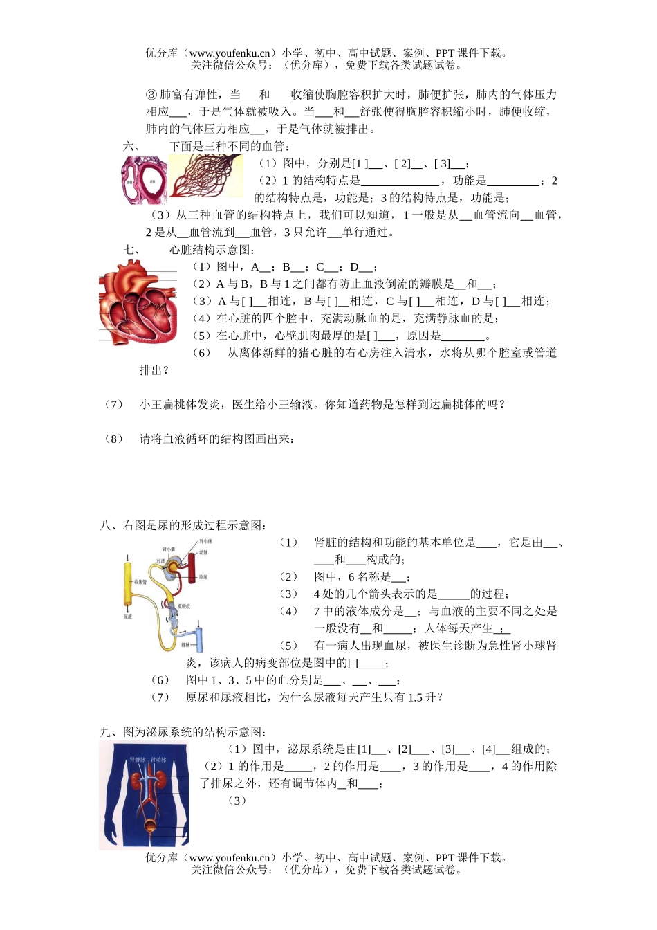 初中七年级生物下学期复习试卷_第1页