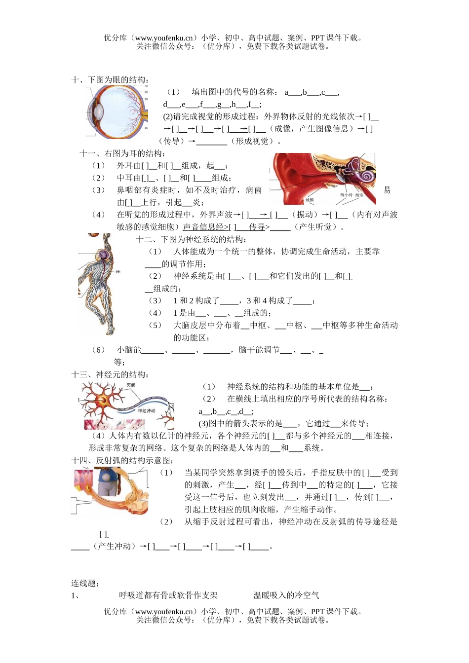初中七年级生物下学期复习试卷_第2页