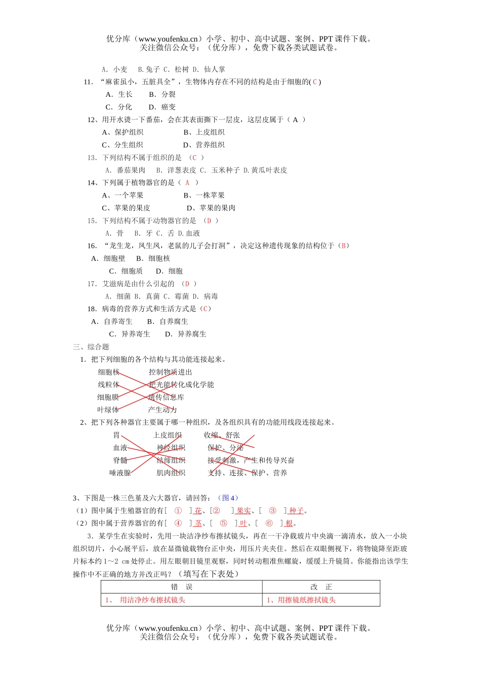 初中七年级生物上册第二单元复习题试卷_第2页