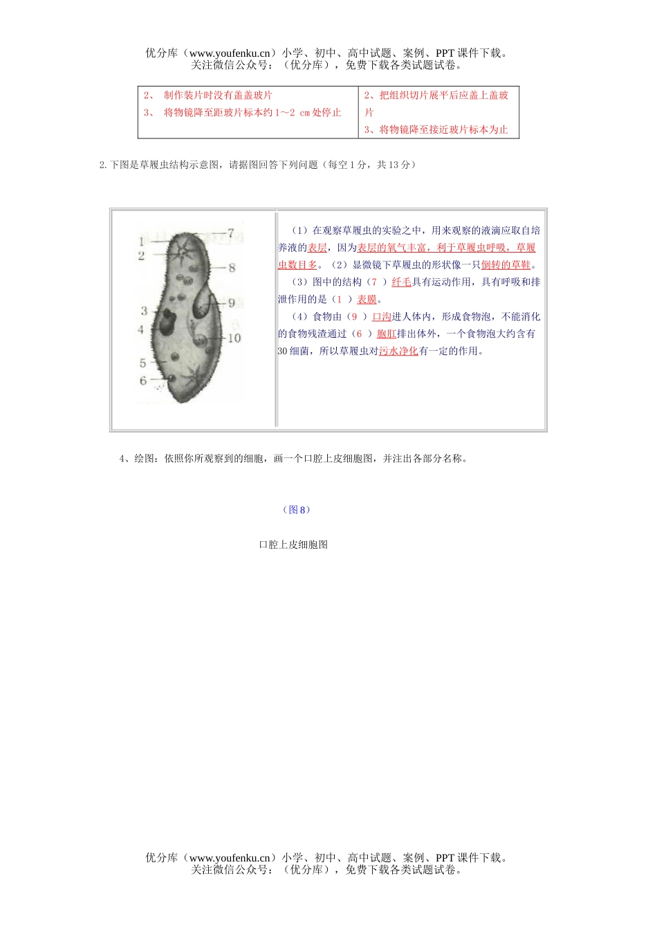 初中七年级生物上册第二单元复习题试卷_第3页