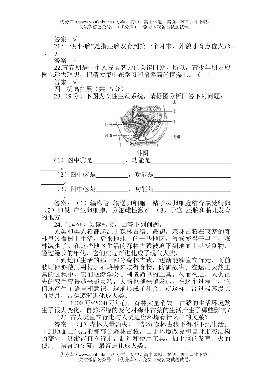 初中七年级生物圈中的人试卷_第3页