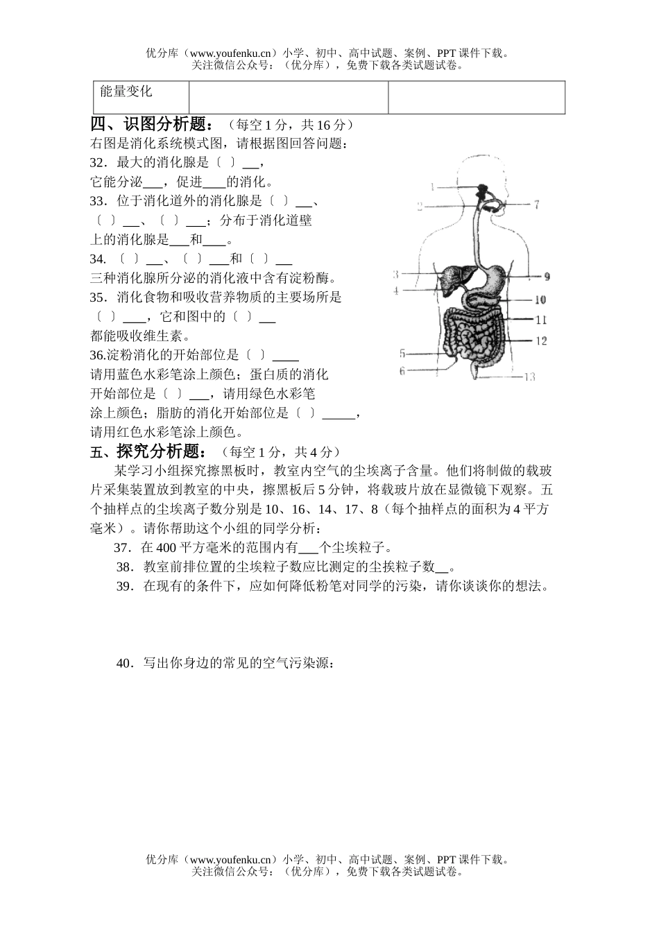 初中七年级生物下册期中质量检测题试卷_第3页