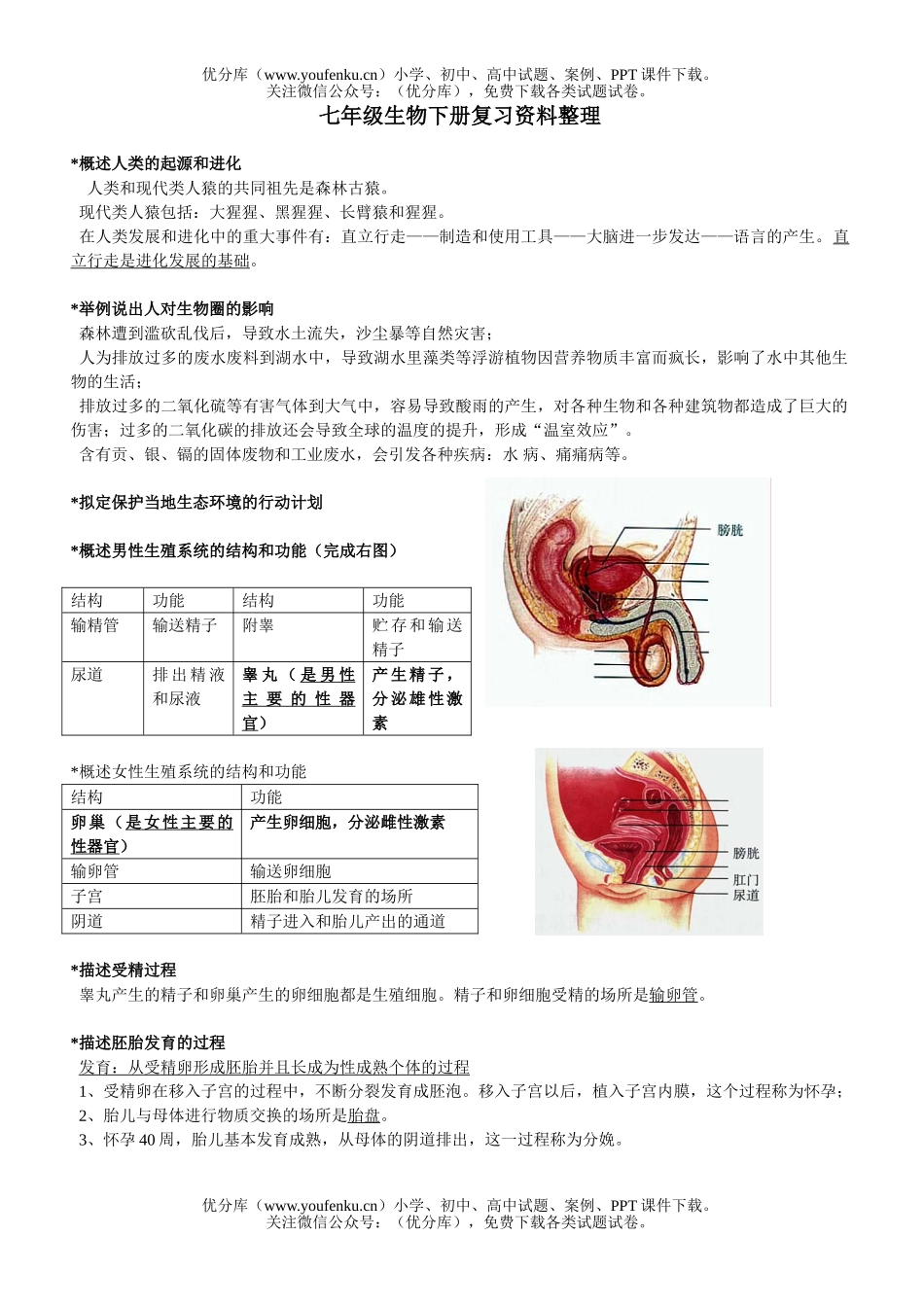 初中七年级生物下册复习资料整理试卷_第1页