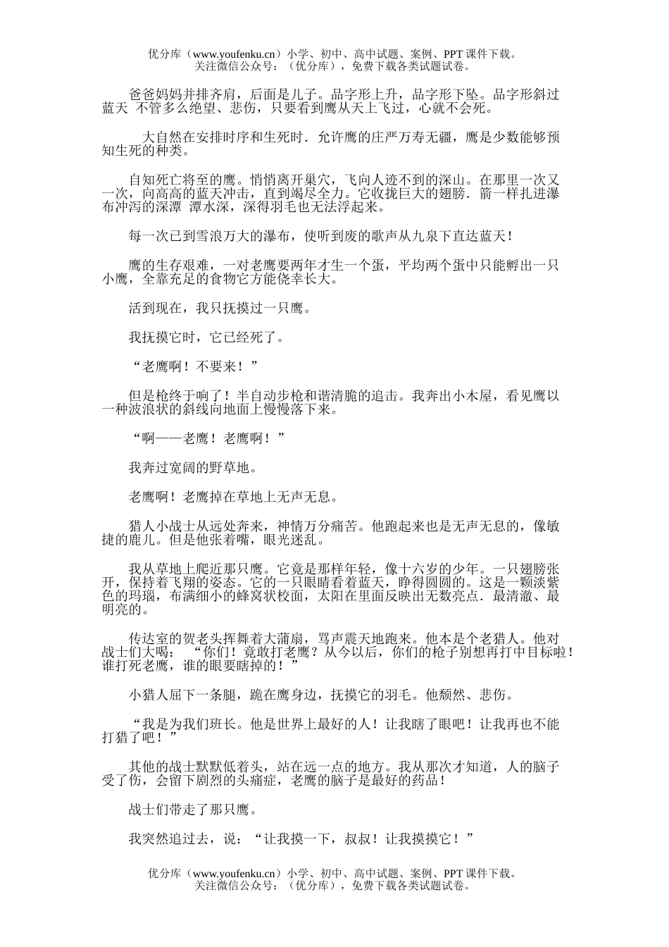 初中八年级语文14.心中的鹰试卷_第2页