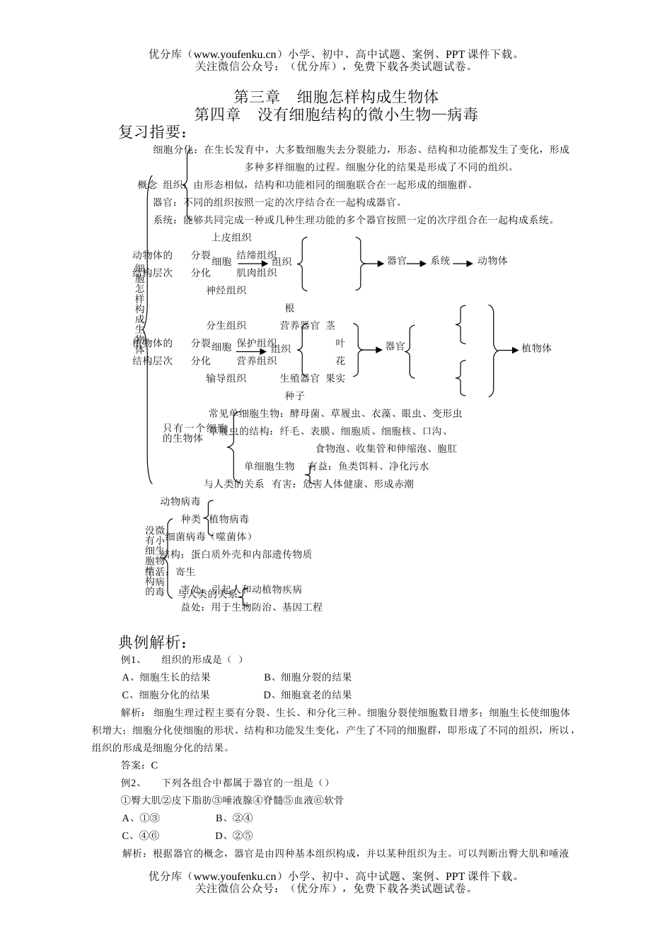 初中七年级生物病毒练习题试卷_第1页