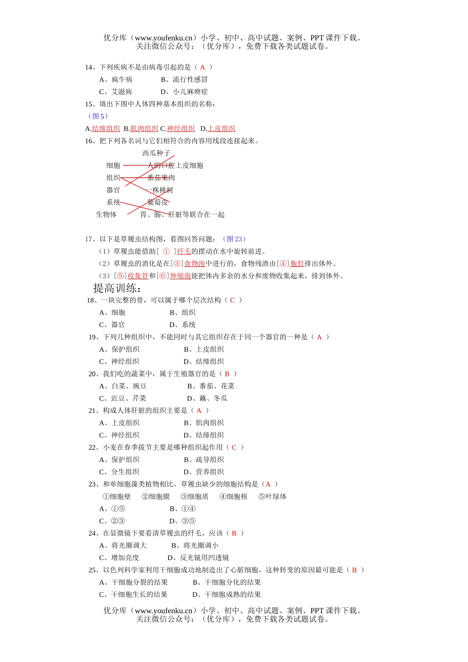 初中七年级生物病毒练习题试卷_第3页