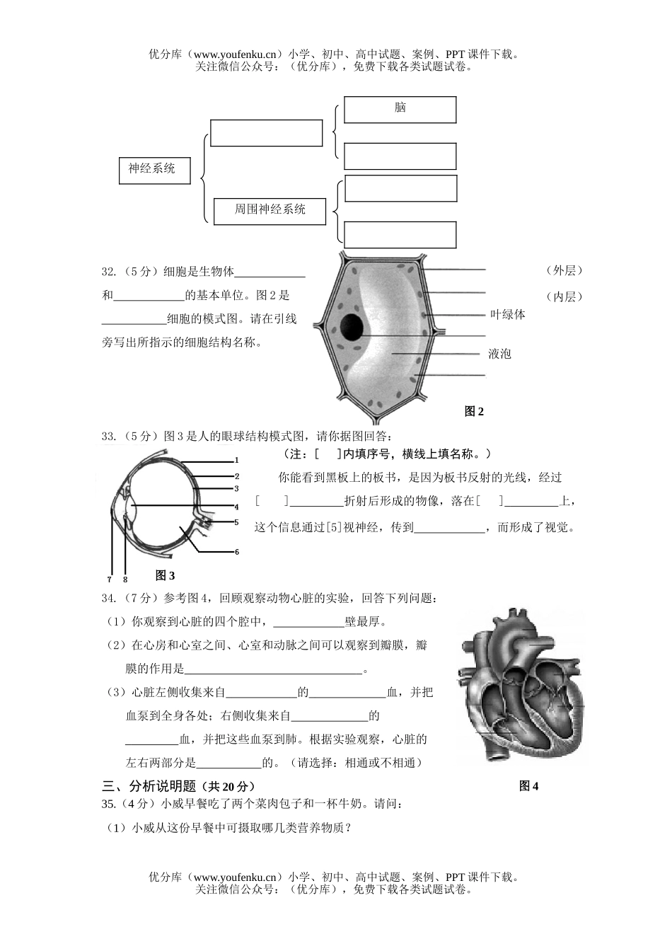 初中七年级生物结业会考试卷_第2页