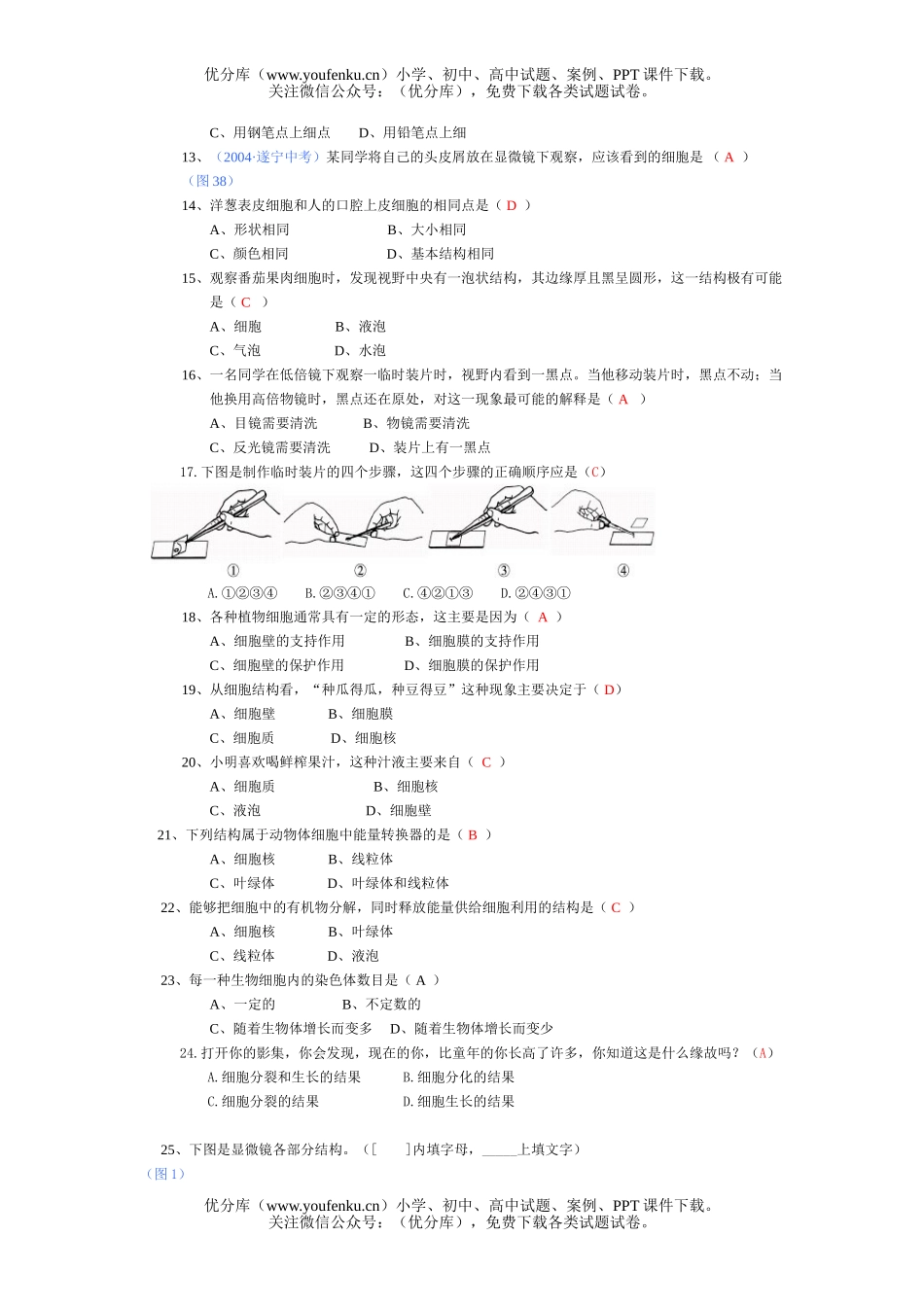 初中七年级生物细胞的生活练习题试卷_第2页