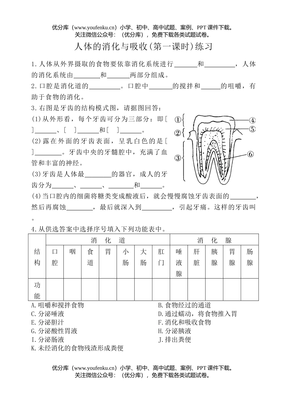 初中七年级生物人体的消化与吸收(第一课时)练习试卷_第1页