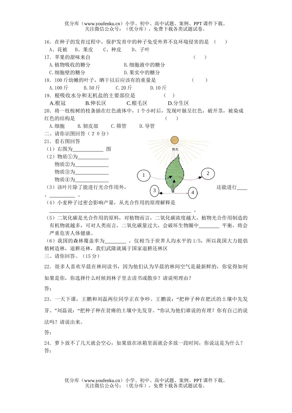 初中七年级生物自测3试卷_第2页