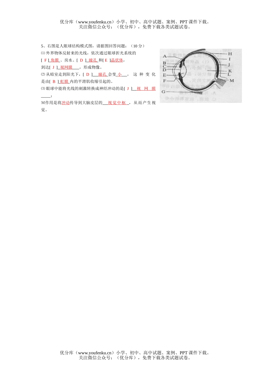 初中七年级生物上学期单元检测题试卷_第3页
