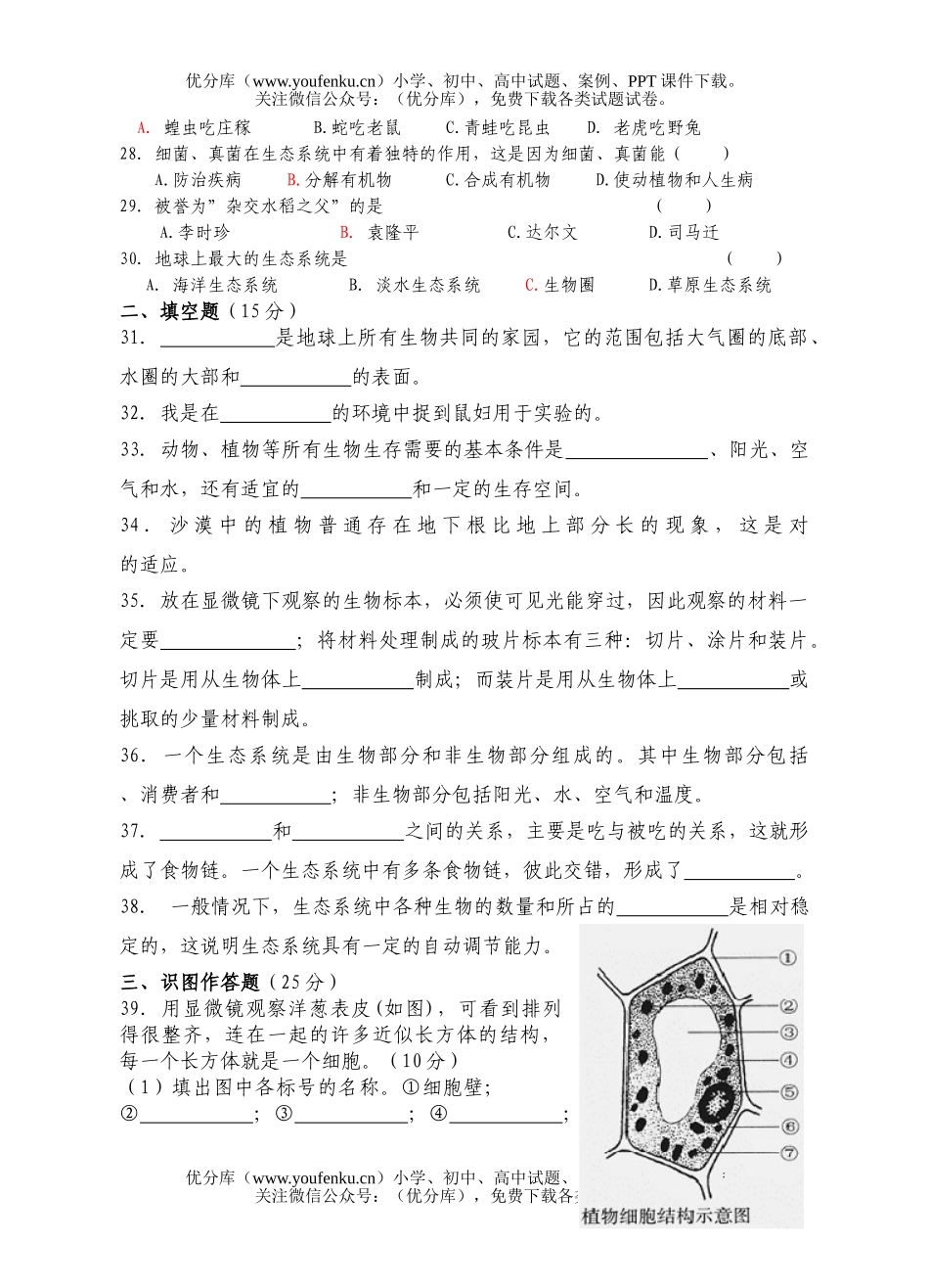 初中七年级生物第一学期期中考试卷_第2页