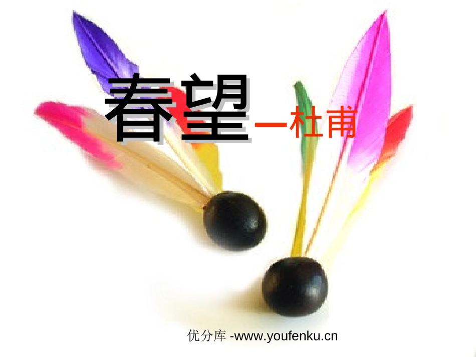 《春望》PPT课件[部编版八年级语文上册]_第1页