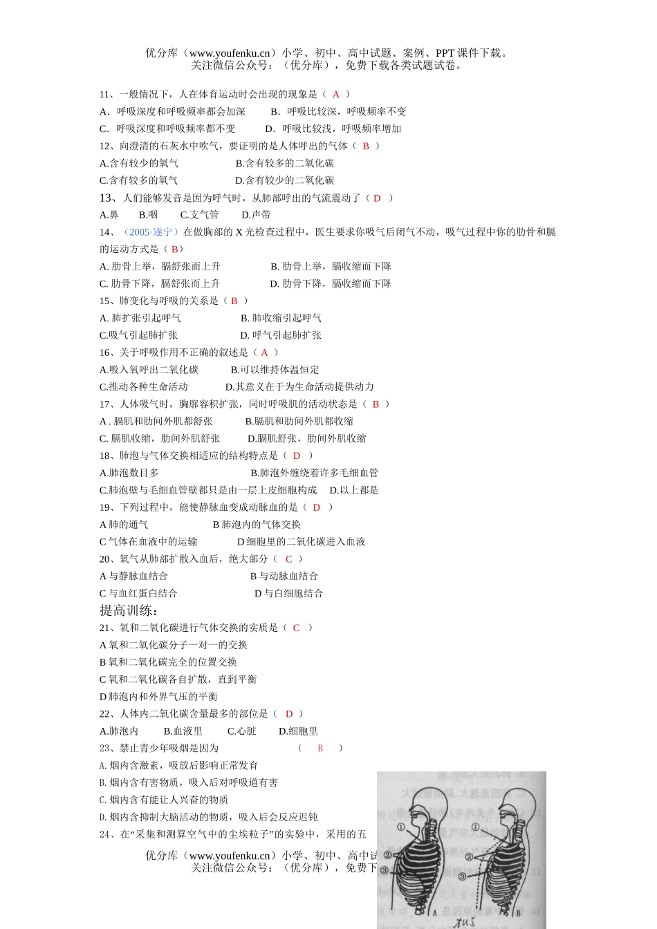 初中七年级生物人体的呼吸练习题试卷_第3页