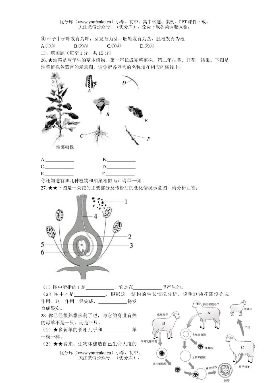 初中七年级生物第一学期期末考试1试卷_第3页