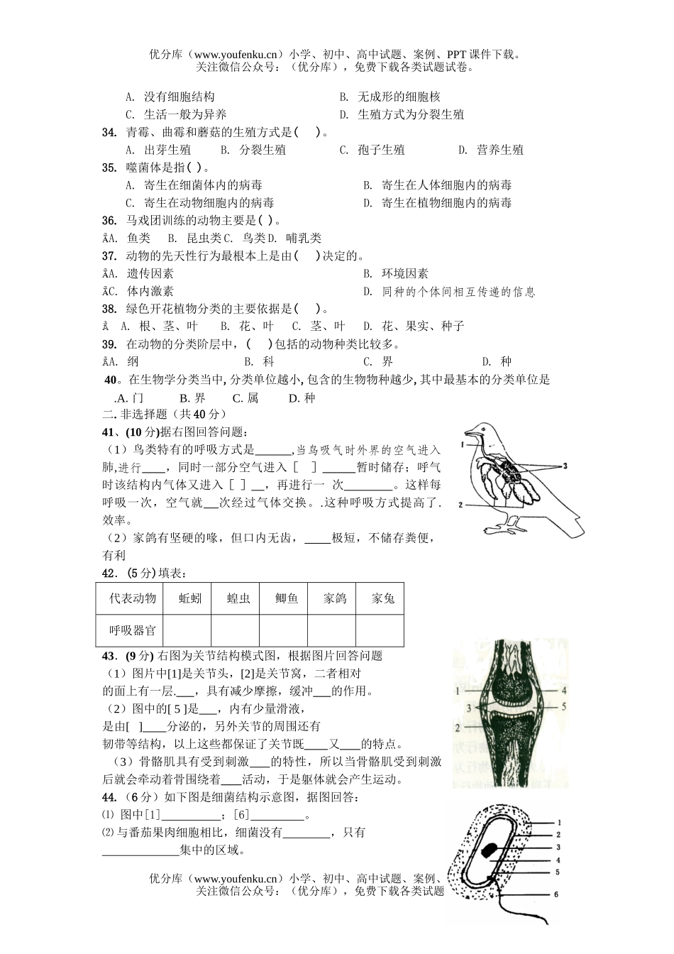 初中七年级生物上学期测试卷_第3页