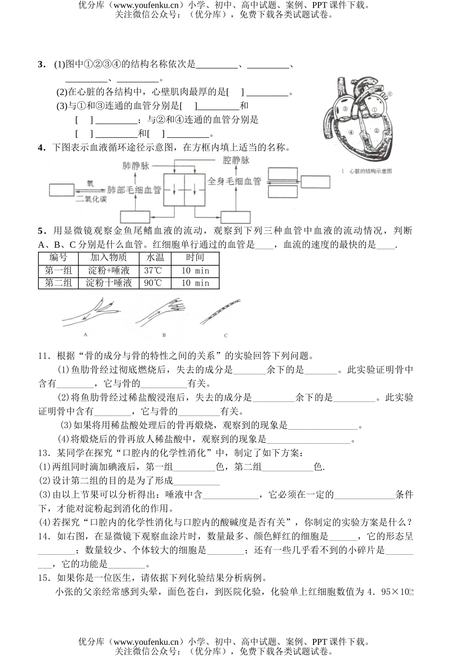 初中七年级生物上册期中复习试卷_第3页