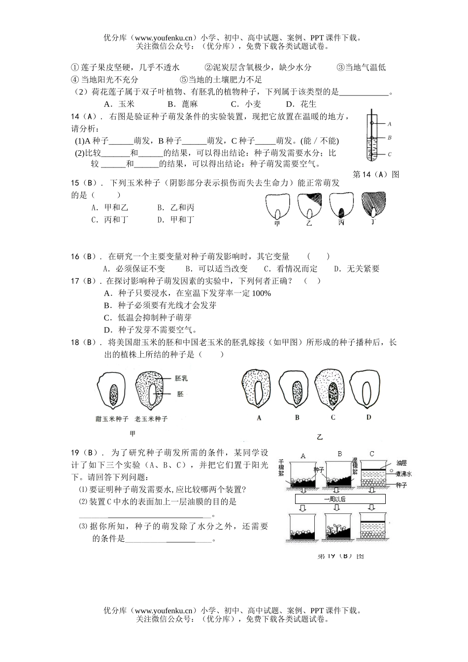 初中七年级科学植物的一生测2试卷_第2页
