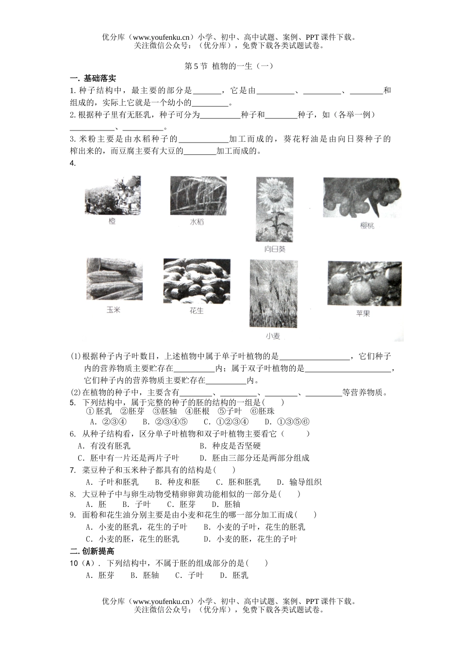 初中七年级科学植物的一生测1试卷_第1页