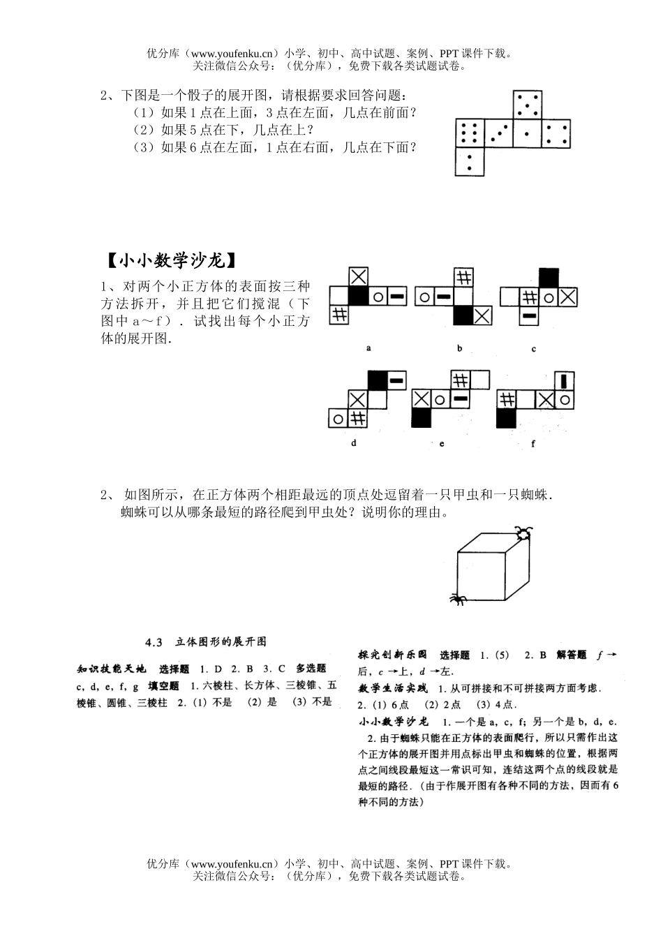 初中七年级数学华师版立体图形的展开图测试卷_第2页